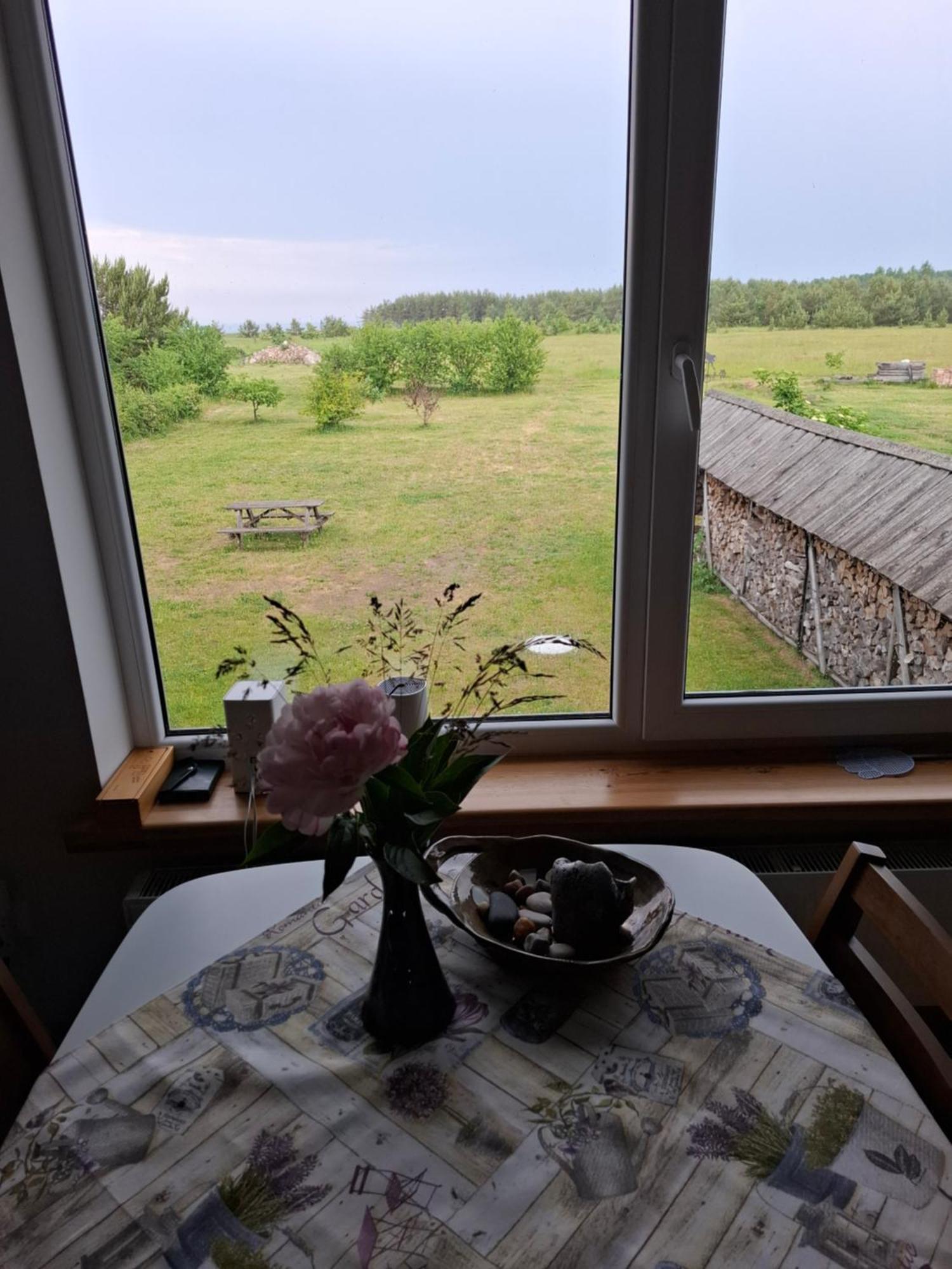 Vilnisi Apartment Ulmale Bagian luar foto